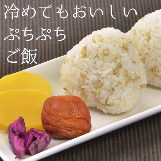 国産もち麦 450g｜美味しさは元気の源 自然の館 | 公式オンラインショップ