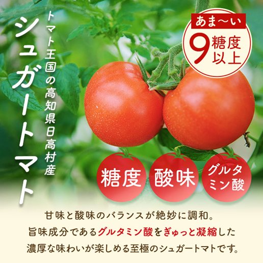 シュガートマト 5箱 フルーツトマト入りスープ26包｜美味しさは元気の源 自然の館 | 公式
